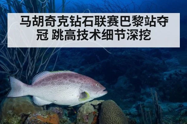 马胡奇克钻石联赛巴黎站夺冠 跳高技术细节深挖