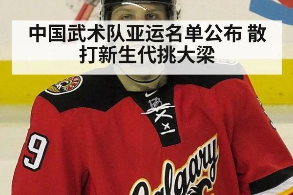 中国武术队亚运名单公布 散打新生代挑大梁