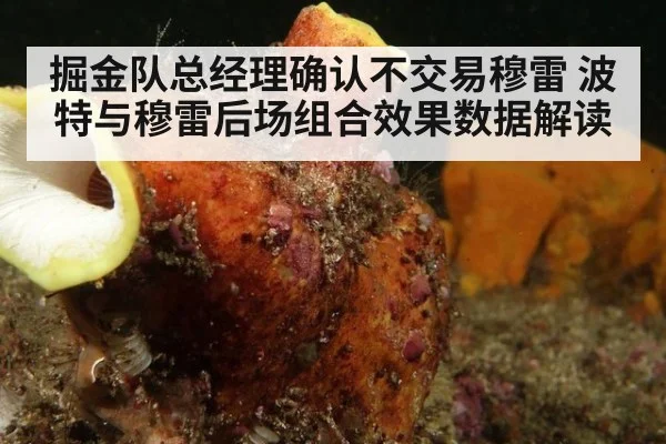 掘金队总经理确认不交易穆雷 波特与穆雷后场组合效果数据解读